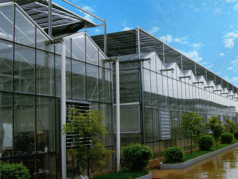 玻璃溫室